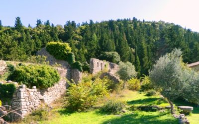 dimos-leykadas-dasos-ton-skaron-2