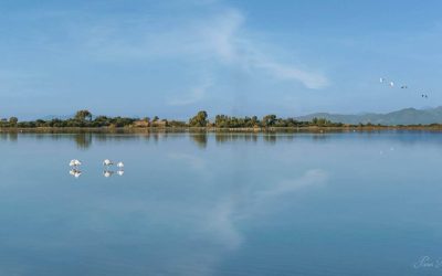 dimos-leykadas-limnothalassa-1024x576